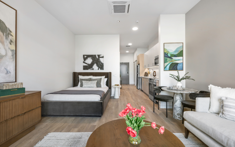 Open studio living that blends comfort, style, and functionality